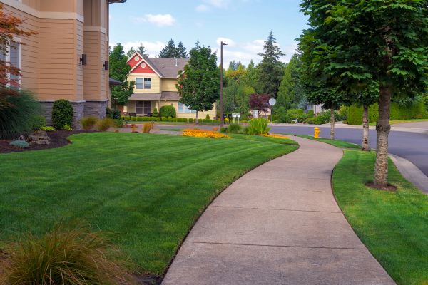 Sidewalk Patching in Schaumburg