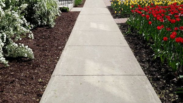 Concrete Pathway Repair in Schaumburg